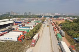 Giải cứu nông sản ùn tắc cửa khẩu: Nhiều doanh nghiệp vào cuộc