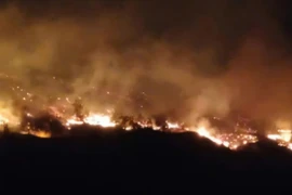 Yêu cầu Quảng Ninh làm rõ nguyên nhân 2 vụ cháy rừng liên tiếp 