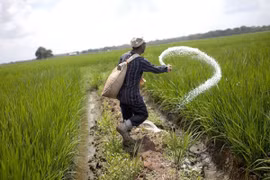 Làm sao để cứu hơn 4 triệu ha đất nông nghiệp đang bị thoái hóa?