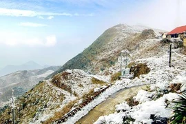 Mẫu Sơn nền nhiệt xuống âm 1,4 độ C, Bắc bộ rét buốt cả ngày, đêm