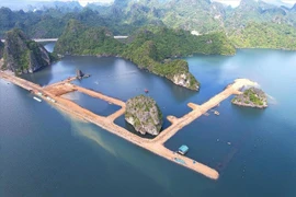 Bộ Tài nguyên nêu ý kiến về dự án khu đô thị quây núi đá Vịnh Hạ Long