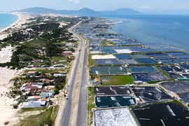 Công ty Xây dựng 68 bị phạt 300 triệu vì khai thác cát cho cao tốc Bắc- Nam vượt công suất