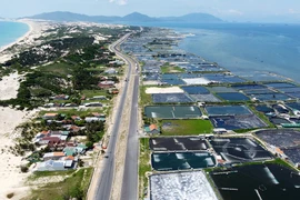 Công ty Xây dựng 68 bị phạt 300 triệu vì khai thác cát cho cao tốc Bắc- Nam vượt công suất