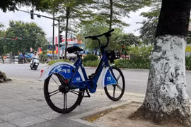 Người Hà Nội 'dài cổ' chờ xe đạp công cộng
