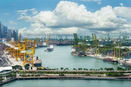 Từ cảng biển đến đô thị logistics quốc tế: Thâm Quyến, Singapore và diện mạo Hải Phòng