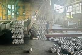 Bắc Ninh: Xử phạt Công ty Nhôm Tanama 1,8 tỷ đồng do vi phạm môi trường