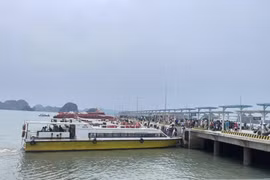 Thủ tướng yêu cầu kiên quyết sơ tán người dân trên lồng bè tránh bão số 1