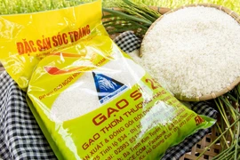 Gạo thơm ST24 và ST25 của Việt Nam không được ưu đãi thuế xuất khẩu vào EU