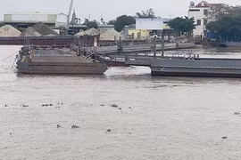 Vẫn chưa tìm thấy nhân viên điều hành cầu phao Ninh Cường mất tích sau vụ bị tàu hàng đâm