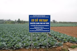 Còn nhiều mối lo về an toàn thực phẩm với nông sản, thủy sản