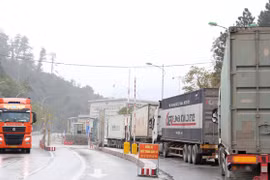 Trung Quốc siết chặt chất lượng nông sản nhập khẩu, hàng Việt xuất khẩu vẫn tăng đều