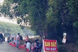 Giá đất vùng ven đô Hà Nội tăng nóng nhưng giao dịch thực chất ít