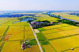 Ngân hàng định giá đất nông nghiệp chỉ 30-50 nghìn đồng/m2