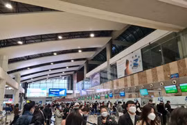 Nhiều tín hiệu tích cực cho hàng không Việt nối lại thị trường quốc tế