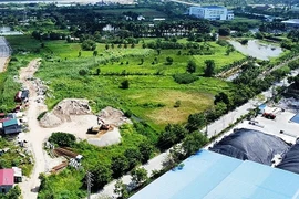 Sẽ cấp “sổ đỏ” cho đất vi phạm sử dụng trước ngày 1/7/2014?