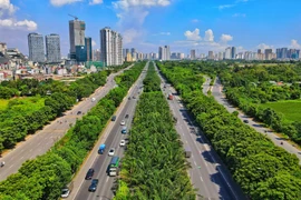 Di chuyển, chặt hạ hơn 2.600 cây xanh trên đại lộ Thăng Long phục vụ xây dựng nút giao thông