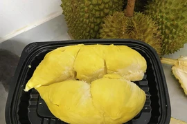 Sầu riêng đông lạnh của Việt Nam sắp được cấp “visa” vào Trung Quốc