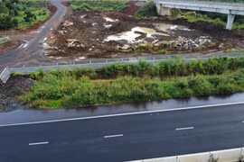 Yêu cầu cắt tỉa cỏ dại mọc lan, gây mất an toàn trên cao tốc Phan Thiết- Dầu Giây