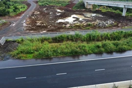 Yêu cầu cắt tỉa cỏ dại mọc lan, gây mất an toàn trên cao tốc Phan Thiết- Dầu Giây