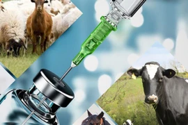 Đề xuất bỏ quy định công bố hợp quy với thuốc thú y