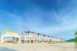 TNR Holdings Vietnam - Dấu ấn của sự tận tâm với loạt dự án bàn giao sổ đỏ và hoàn thiện hạ tầng 