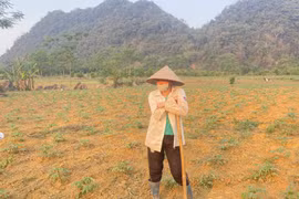 El Nino tác động đến Việt Nam, cảnh báo hạn hán, thiếu nước kéo dài đến 2025