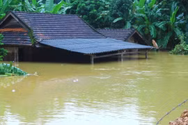 Miền Trung xuất hiện mưa cường độ lớn kéo dài trong 10 ngày tới