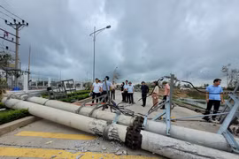 Prudential đang nỗ lực thu thập thông tin khách hàng bị ảnh hưởng bởi bão Yagi