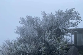 Không khí lạnh tăng cường tràn xuống, vùng núi Bắc bộ xuống dưới 5 độ C