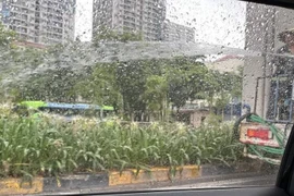 Tưới cây xanh giữa trời mưa sáng 24-6, Sở Xây dựng Hà Nội nói gì?