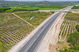 Xin tiếp tục khai thác tạm cao tốc Phan Thiết- Dầu Giây dù đã thông xe 8 tháng