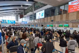 Làm sao để không mua phải vé máy bay Tết giả, giá cao?