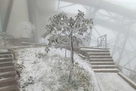 Bắc bộ lạnh tê tái, Fansipan tuyết rơi như châu Âu