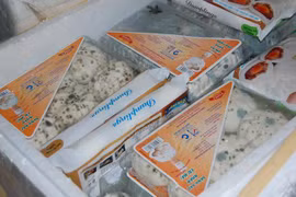 Bánh bao mốc xanh, thịt cá bốc mùi tại Co.opmart Hà Nội.