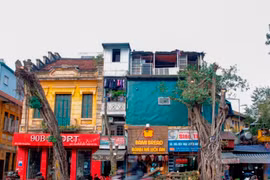 Đánh chuyển, chặt hạ 40 cây xanh ở phố Trần Hưng Đạo để thi công ga ngầm metro