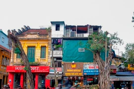 Đánh chuyển, chặt hạ 40 cây xanh ở phố Trần Hưng Đạo để thi công ga ngầm metro