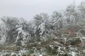 Không khí lạnh bổ sung, Bắc bộ chuyển rét đậm, nền nhiệt vùng núi cao xuống 0 độ C