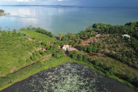 Đồng Nai dự tính làm đường xuyên rừng tự nhiên nối với Bình Phước