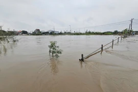 Nước lũ trên sông Bồ tại Huế vượt lũ lịch sử năm 2020