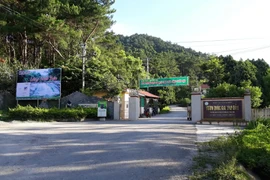 Vườn quốc gia Tam Đảo báo cáo gì về dự án cho thuê 68ha rừng đặc dụng làm du lịch?