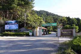 Vườn quốc gia Tam Đảo báo cáo gì về dự án cho thuê 68ha rừng đặc dụng làm du lịch?