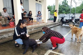 Vì sao bệnh dại bùng phát khiến 21 người tử vong trong hơn 2 tháng đầu năm?