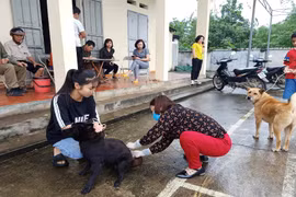 Vì sao bệnh dại bùng phát khiến 21 người tử vong trong hơn 2 tháng đầu năm?