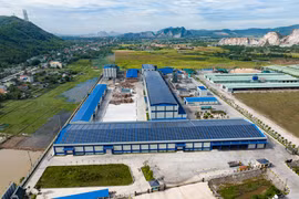 Vi phạm môi trường, Công ty Miza Nghi Sơn bị phạt hơn nửa tỷ đồng