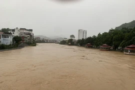 Lũ sông Lô đạt mức lịch sử 30 năm, nước cuồn cuộn đổ về