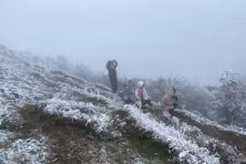 Bắc bộ mưa và rét, vùng núi có thể xuất hiện băng giá do không khí lạnh tràn về