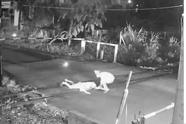 Công nhân gác chắn đường sắt nhanh trí cứu thanh niên say rượu thoát chết trước tàu hỏa