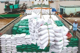 Chuỗi giá trị lúa gạo Việt Nam còn điểm nghẽn, dễ xảy ra “bẻ kèo”