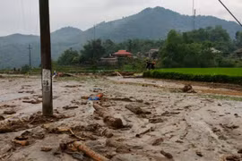 Trình Đề án 160.000 tỷ đồng để phòng chống sạt lở đất, lũ quét