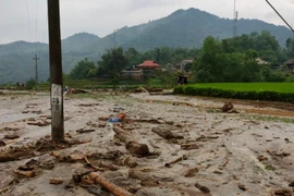 Trình Đề án 160.000 tỷ đồng để phòng chống sạt lở đất, lũ quét
